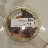 Turtle at Sip Sip Hooray Garden Cafe  in Englewood