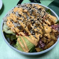 Rainbow bowl   at Katzentempel Berlin Mitte in Berlin