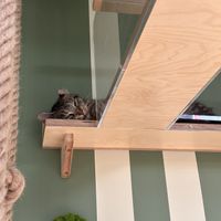 Nette Gesellschaft   at Katzentempel Berlin Mitte in Berlin