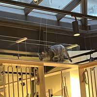   at Katzentempel Berlin Mitte in Berlin