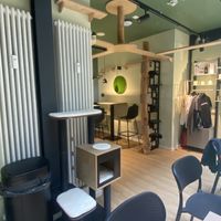   at Katzentempel Berlin Mitte in Berlin