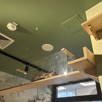   at Katzentempel Berlin Mitte in Berlin