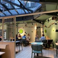 Dining area, a cat sleeping in one of the baskets attached to the wall  at Katzentempel Berlin Mitte in Berlin
