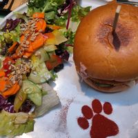 Old cat lady burger at Katzentempel Berlin Mitte in Berlin