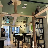   at Katzentempel Berlin Mitte in Berlin