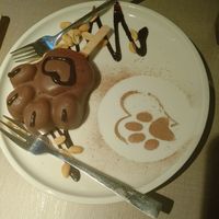 Chocolate and peanut paw dessert at Katzentempel Berlin Mitte in Berlin