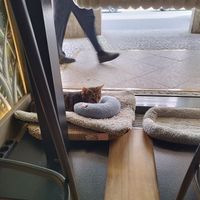  at Katzentempel Berlin Mitte in Berlin