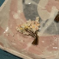 Close up  at Kanga-An in Kyoto