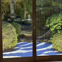 View of the garden from our private room  at Kanga-An in Kyoto