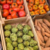 Artichokes at BIOKOR in Solsona