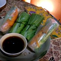 fresh rolls.... tangy and tasty at Prem Bistro and Cafe in Ho Chi Minh City