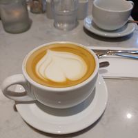  at Joni at The Botanical Gardens in Sheffield