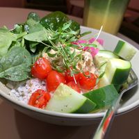 Hummus Bowl: White Rice, Hummus, Olive Oil, Za'atar, Paprika, Tomatoes, Cucumbers, Pickled Onions, Spinach, Micro-Cilantro, Lemon at Matcharía in Kalamazoo
