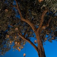  at Fig And Olive in Himare