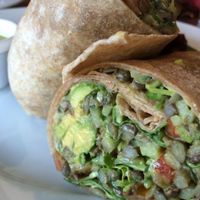 vegan wrap. filled with tasty lentil, avocado, arugula, veggies, garlic and other savory goodies at Bloom Cafe in Los Angeles