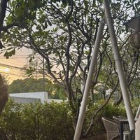   at Baan Ying - Dusit Suites Hotel in Bangkok