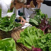 Selection of Punto Verde's organic produce. at Punto Verde in Huanchaco