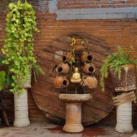 Fuente at Ganesha Restaurante Vegetariano in Cuautla