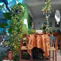 El jardín at Ganesha Restaurante Vegetariano in Cuautla