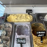 Mango  at Heiss & Eis 2 in Sibiu