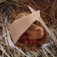 "hit the hay" at Chef Liam Penn in Bristol