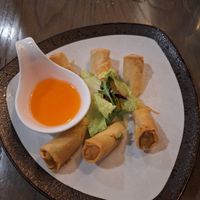 Spring rolls at Hey Thai  in New York City