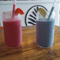  at Plant Shack in Denia