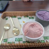 Strawberry and blueberry gelato at Dugong Ehwa  in Seoul