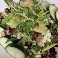 Seedz salad with tempeh  at Seedz Cafe in St Louis