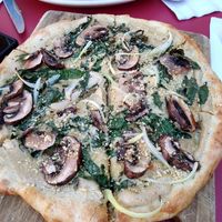  at Seedz Cafe in St Louis