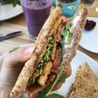 Temph LTA at Seedz Cafe in St Louis