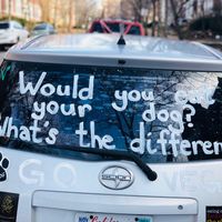 Car in front of Seedz ❤️ at Seedz Cafe in St Louis