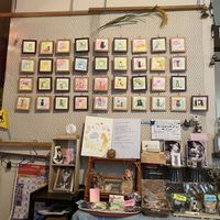 Cute cats!  at Kitten Company in Kyoto