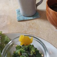  at Kitten Company in Kyoto