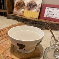   at Kitten Company in Kyoto