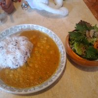  at Kitten Company in Kyoto