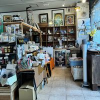   at Kitten Company in Kyoto