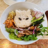  at Kitten Company in Kyoto