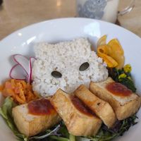  at Kitten Company in Kyoto