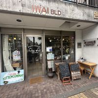   at Kitten Company in Kyoto