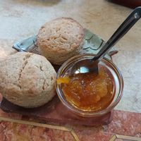  at Kitten Company in Kyoto