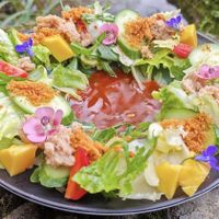 三色藜麦花园沙拉  at Wújìn Xǐ Plant Cuisine - 无尽喜·植物料理 in Hangzhou