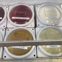 Ice cream case - sorbet at Beacon Creamery in Beacon