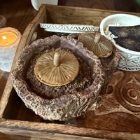 Mushroom canapé   at Sagrada in Washington