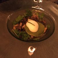 Mushroom starter at Em Carne Viva in Porto