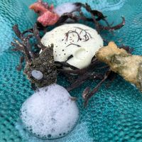   at Em Carne Viva in Porto