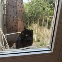   at Em Carne Viva in Porto