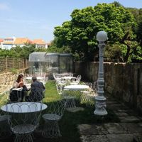 View of the garden at Em Carne Viva in Porto