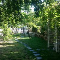 The fresh garden at Em Carne Viva in Porto