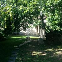 Garden at Em Carne Viva in Porto